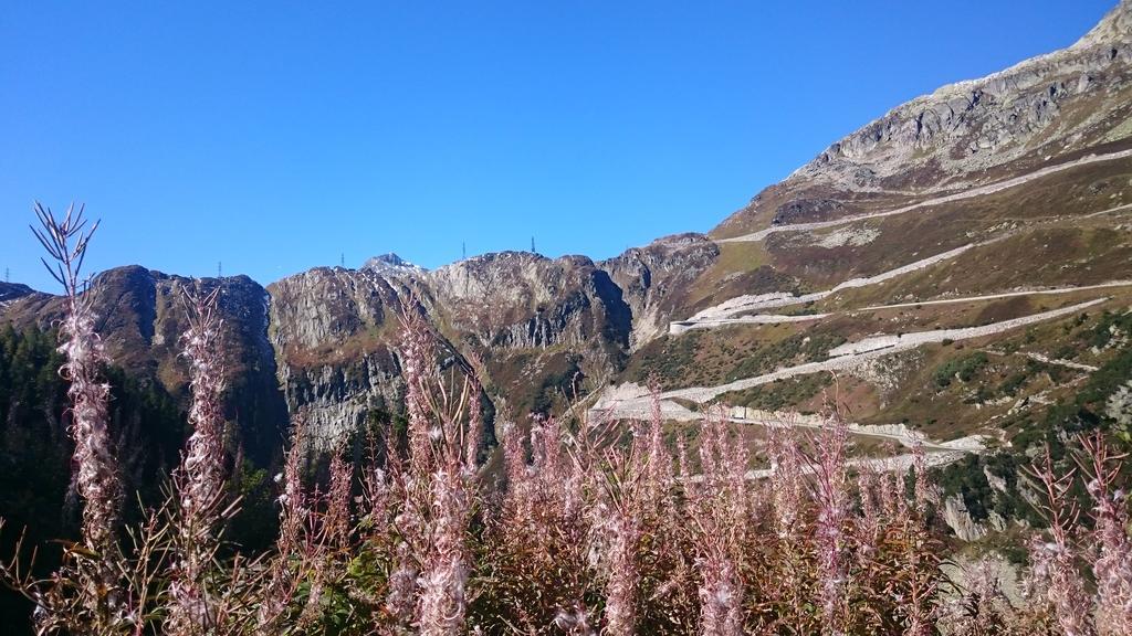 Hotel Garni Zimmermann Reith bei Kitzbühel Eksteriør billede