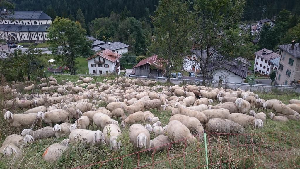 Hotel Garni Zimmermann Reith bei Kitzbühel Eksteriør billede