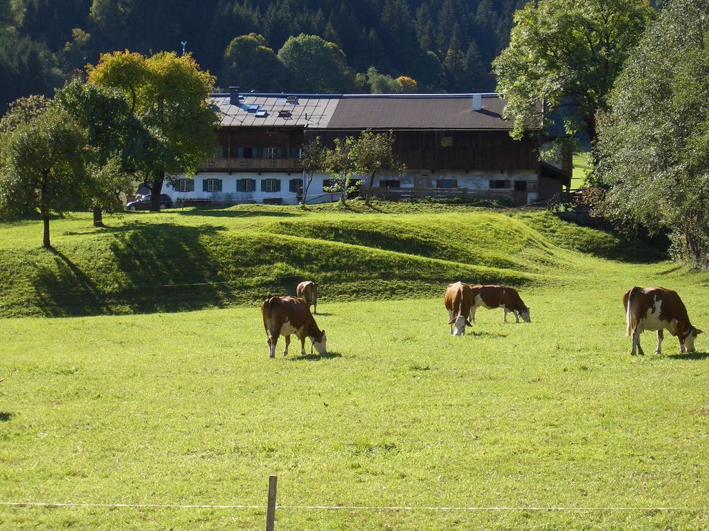 Hotel Garni Zimmermann Reith bei Kitzbühel Eksteriør billede