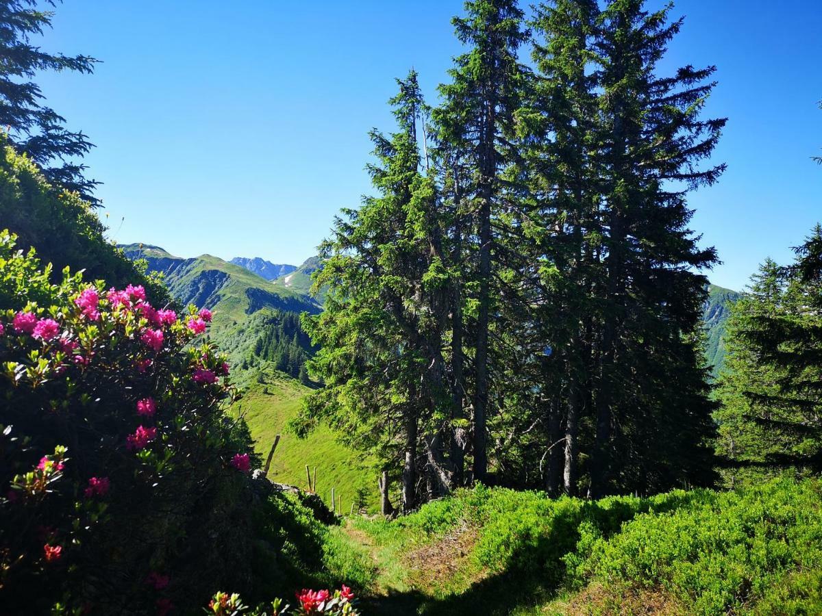 Hotel Garni Zimmermann Reith bei Kitzbühel Eksteriør billede